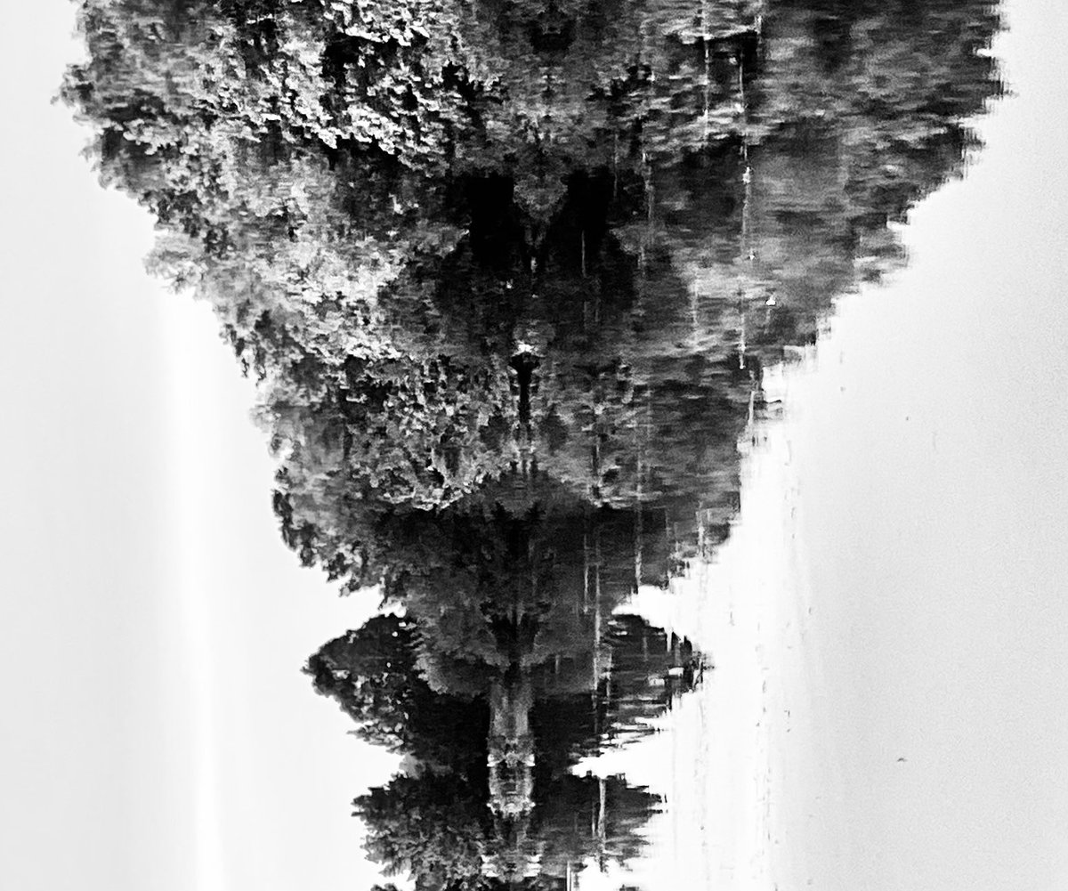 mygardentalkst1's tweet photo. Whenever we’re here, I like to engage in some landscape whimsy! These are b&w lake pics, cropped & rotated to form horticultural Rorschach tests.
What can you see … & what does that say about you! #abitoffun
#thepsychologistinme 🤣👍🏼
@LogHouseHoliday https://t.co/L1IU5zxLYs