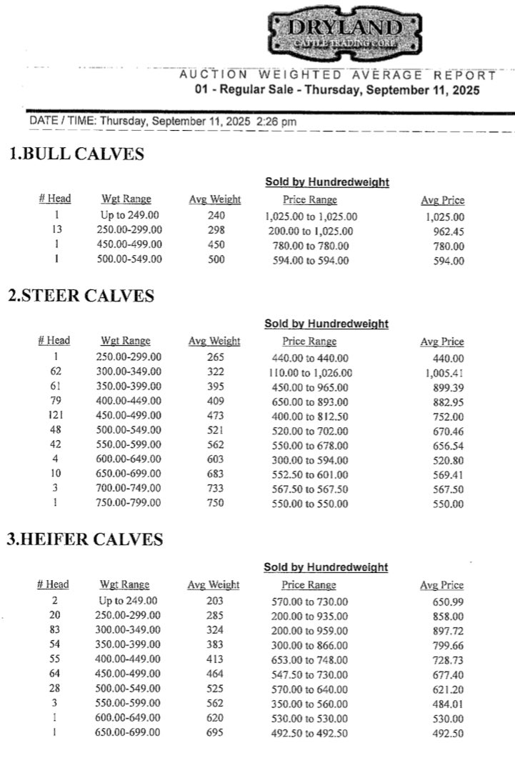 Dylan Biggs tweet media