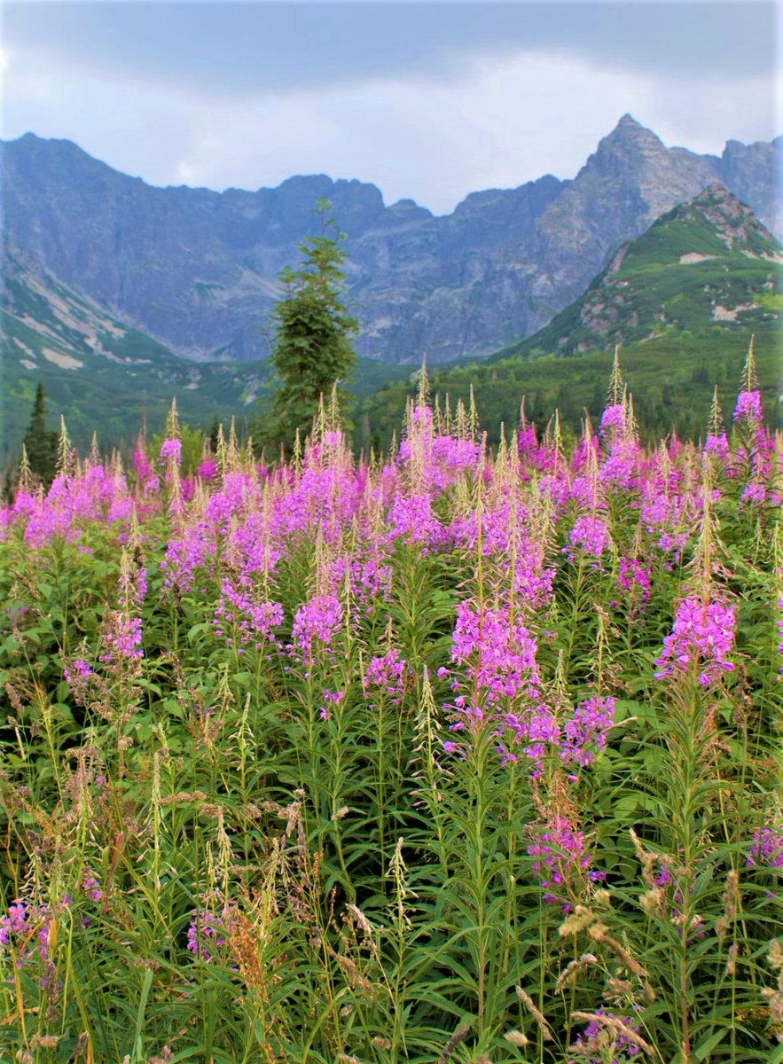High Tatras in Poland.