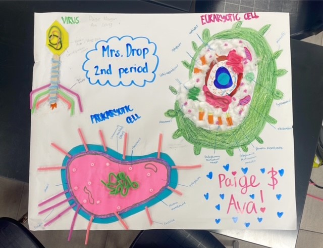 Biology classes illustrated Virus vs Cells