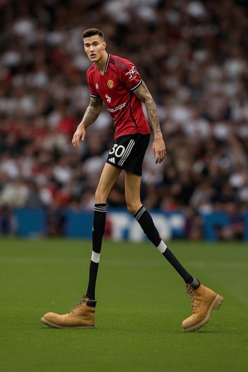 Thank you for choosing Man Utd's history mate 👍🏻