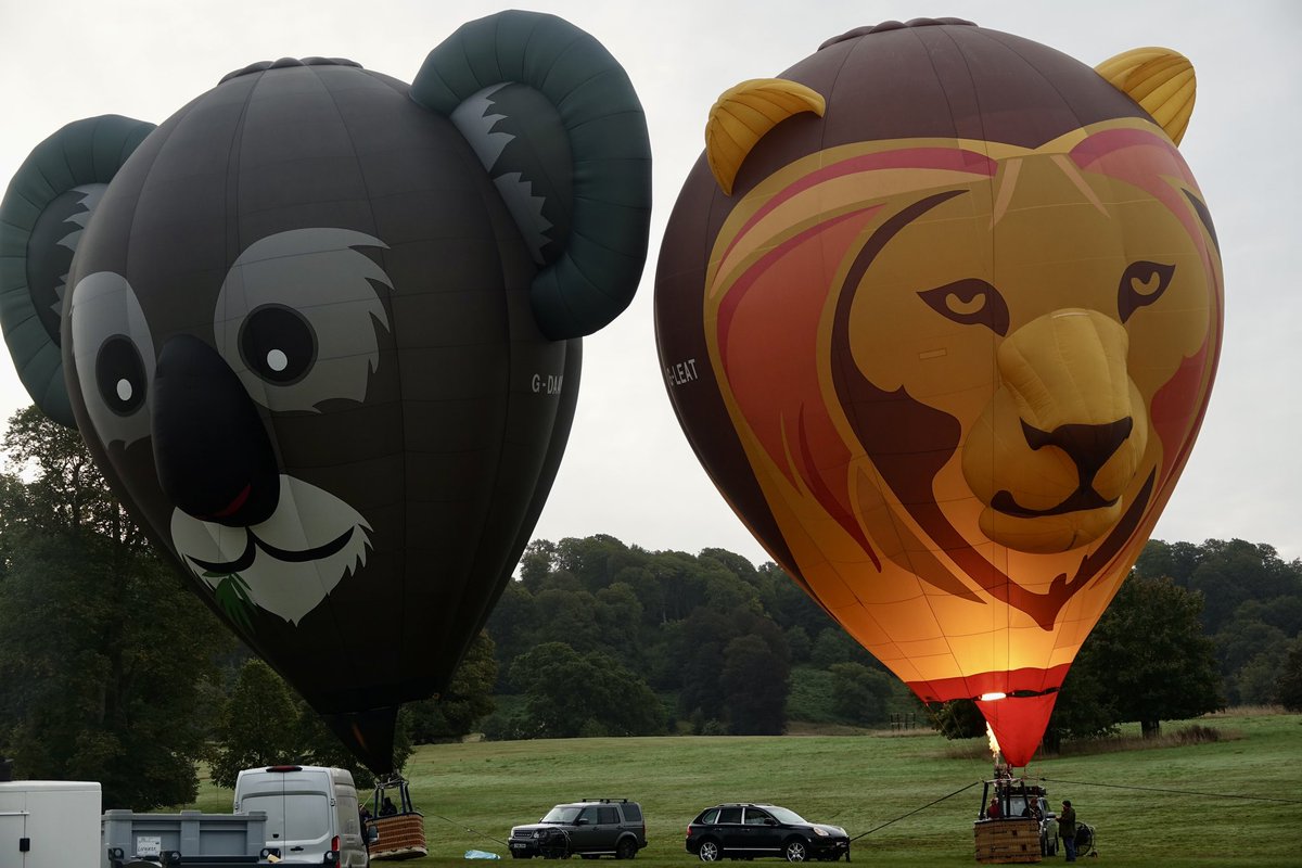 Hayley8t4's tweet photo. Enjoyable morning @Longleat #iconsofthesky #balloons #longleat #bristolballoon event again this year 🎈🎈🥰🥰 https://t.co/r6tbY02KOd