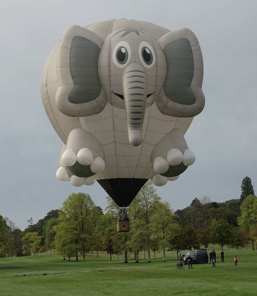 Hayley8t4's tweet photo. Enjoyable morning @Longleat #iconsofthesky #balloons #longleat #bristolballoon event again this year 🎈🎈🥰🥰 https://t.co/r6tbY02KOd