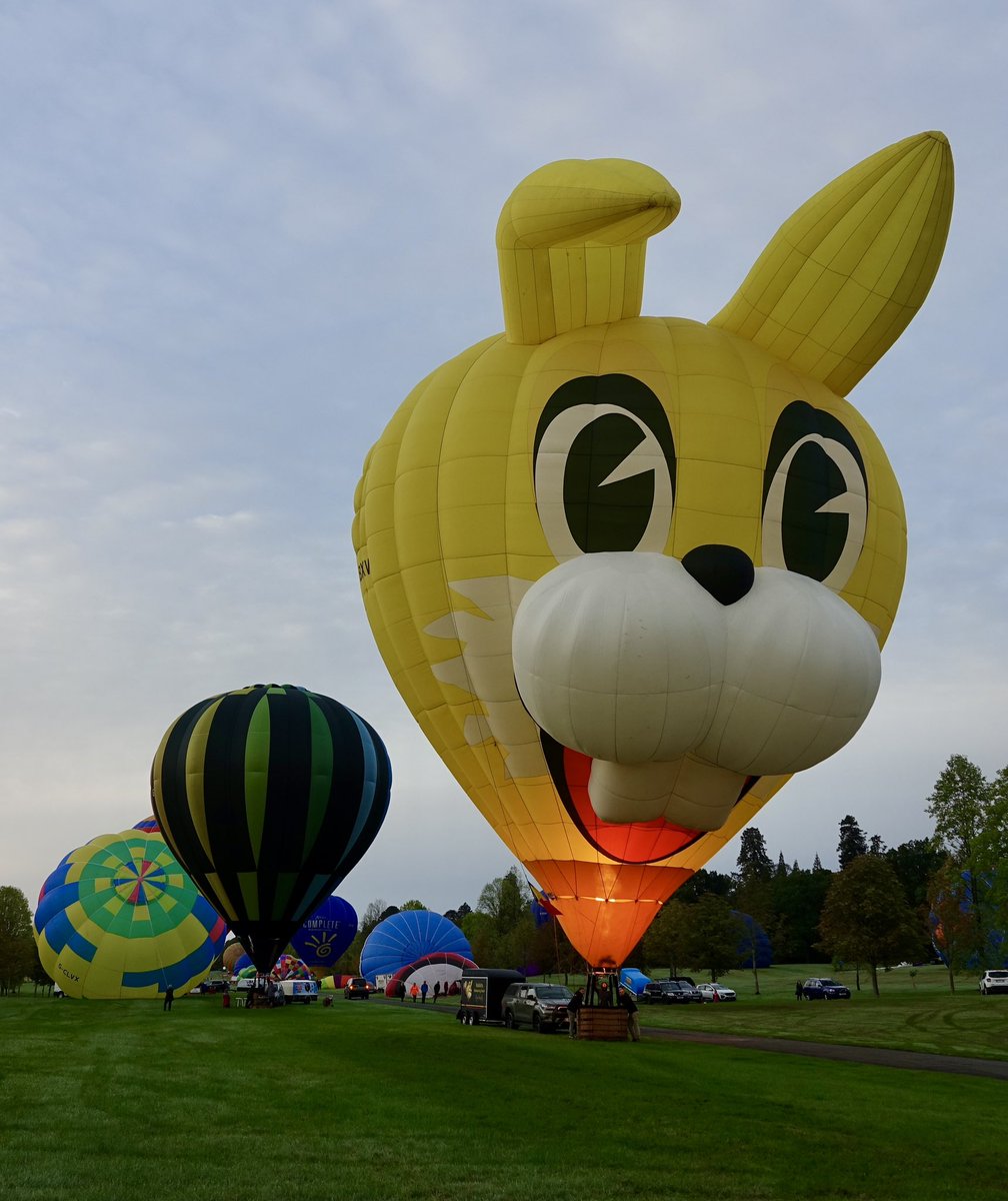 Hayley8t4's tweet photo. Enjoyable morning @Longleat #iconsofthesky #balloons #longleat #bristolballoon event again this year 🎈🎈🥰🥰 https://t.co/r6tbY02KOd