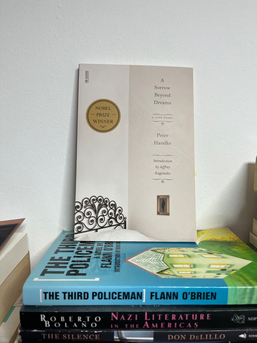 I’ve read a lot of Handke this year, but this one is the tops. Extraordinary book.