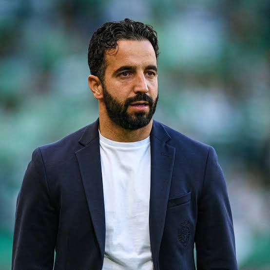 Novice.X 🟦 tweet media