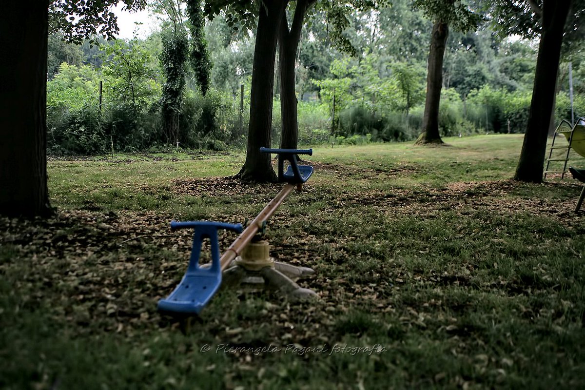 @ferrarisergio4 tweet media