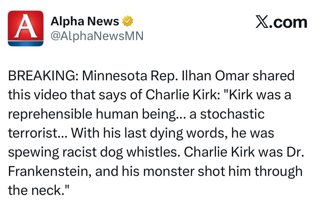 willchamberlain's tweet image. When Ilhan Omar is stripped of her committee assignments let us know