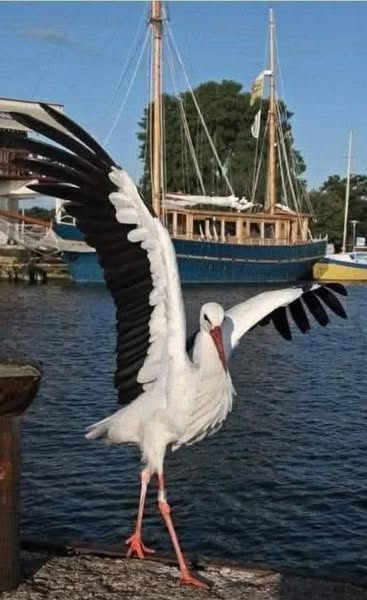 Tanya Narbut🇮🇱🇺🇦 tweet media