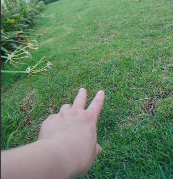 faye081215's tweet photo. #openseatouchthegrass https://t.co/A0gAh8CMgt