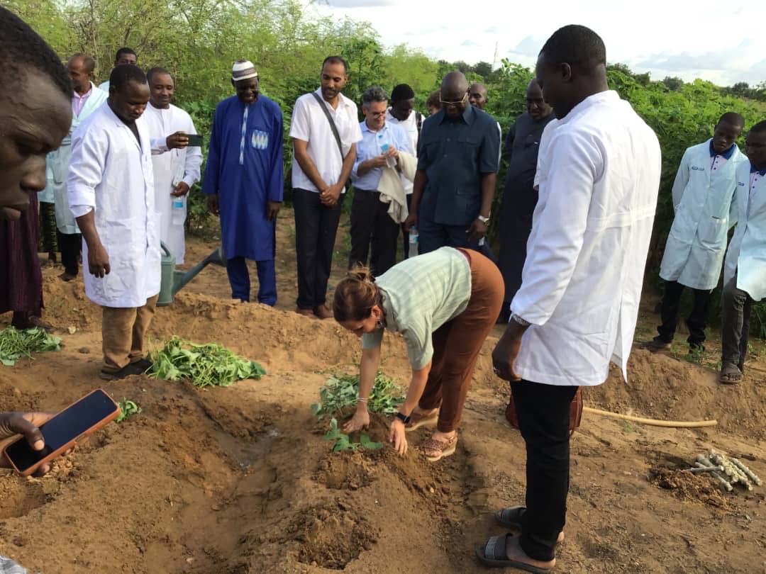 ItalyinNiger tweet media