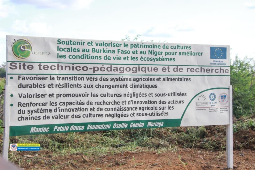 ItalyinNiger tweet media