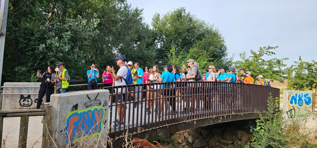 CaminoComp90636's tweet photo. LAS RAICES DEL CAMINO
El sábado, 13 de septiembre, hemos organizado, como Peregrinos de la Esperanza, un evento  muy singular, queriendo celebrar los orígenes y raíces del Camino de Santiago Coplutense, peregrinando desde Camarma de Esteruelas hasta la Magistral de Alcalá https://t.co/e2uAlOqGvU