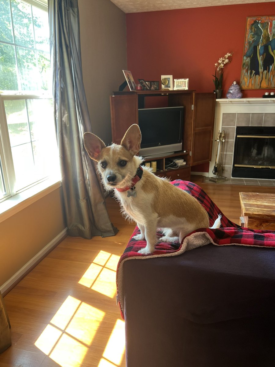 Kwitty23 aka Kdub tweet media