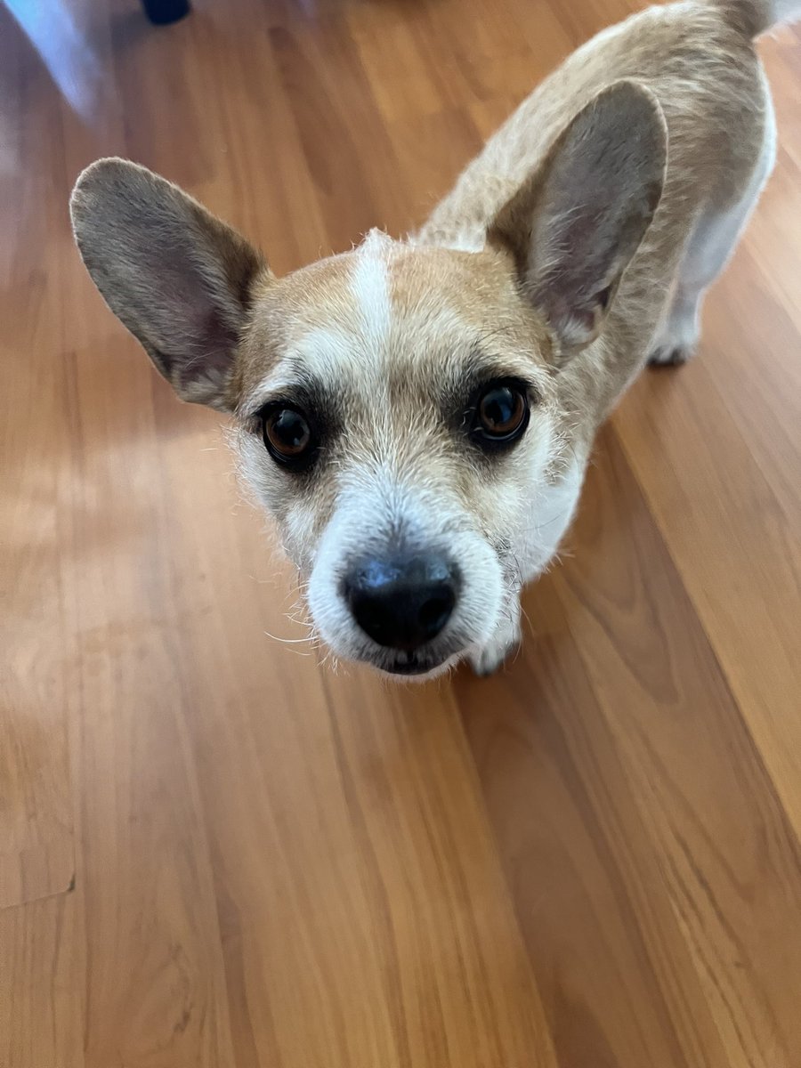 Kwitty23 aka Kdub tweet media