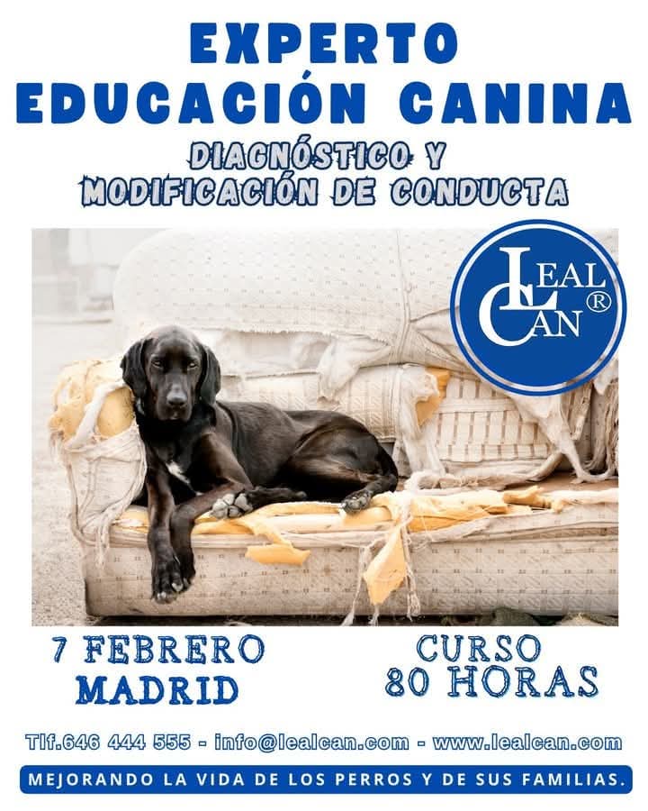 ✅ Te permitirá obtener el CERTIFICADO DE PROFESIONALIDAD en adiestramiento base y educación canina. 🎓🐕

¡No dudes en contactarnos para más información y asesoramiento! 🤗

📌 Para más información del curso te compartimos el siguiente enlace: lealcan.com/curso-de-exper…