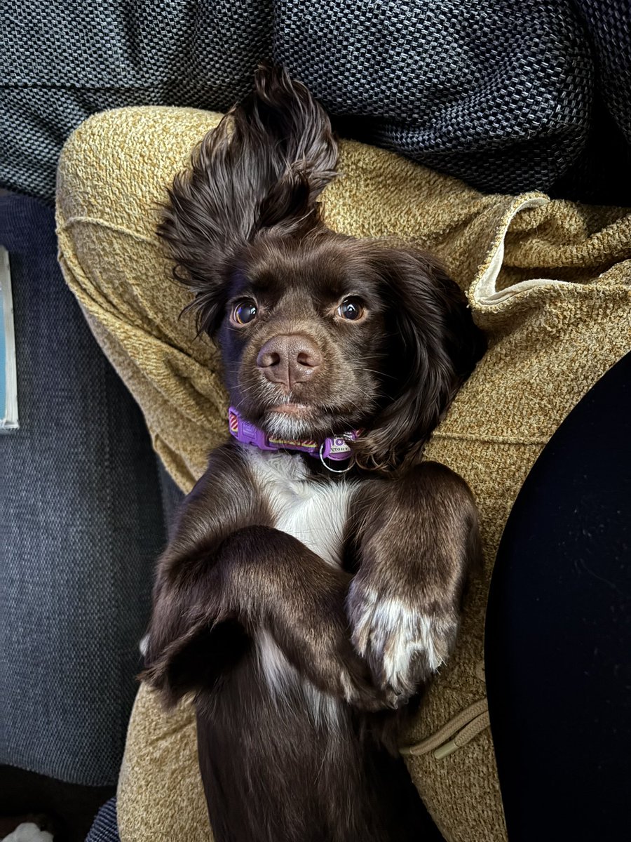 Emily 🎄 tweet media