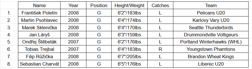 HZoufal's tweet image. With the season kicking off, and if you’re wondering which Czech players to keep an eye on heading into the #2026NHLDraft, here’s my early Top 10 Czech prospects to start the year.

This time I’m introducing a small change: goaltenders will have their own separate list.

Let’s…