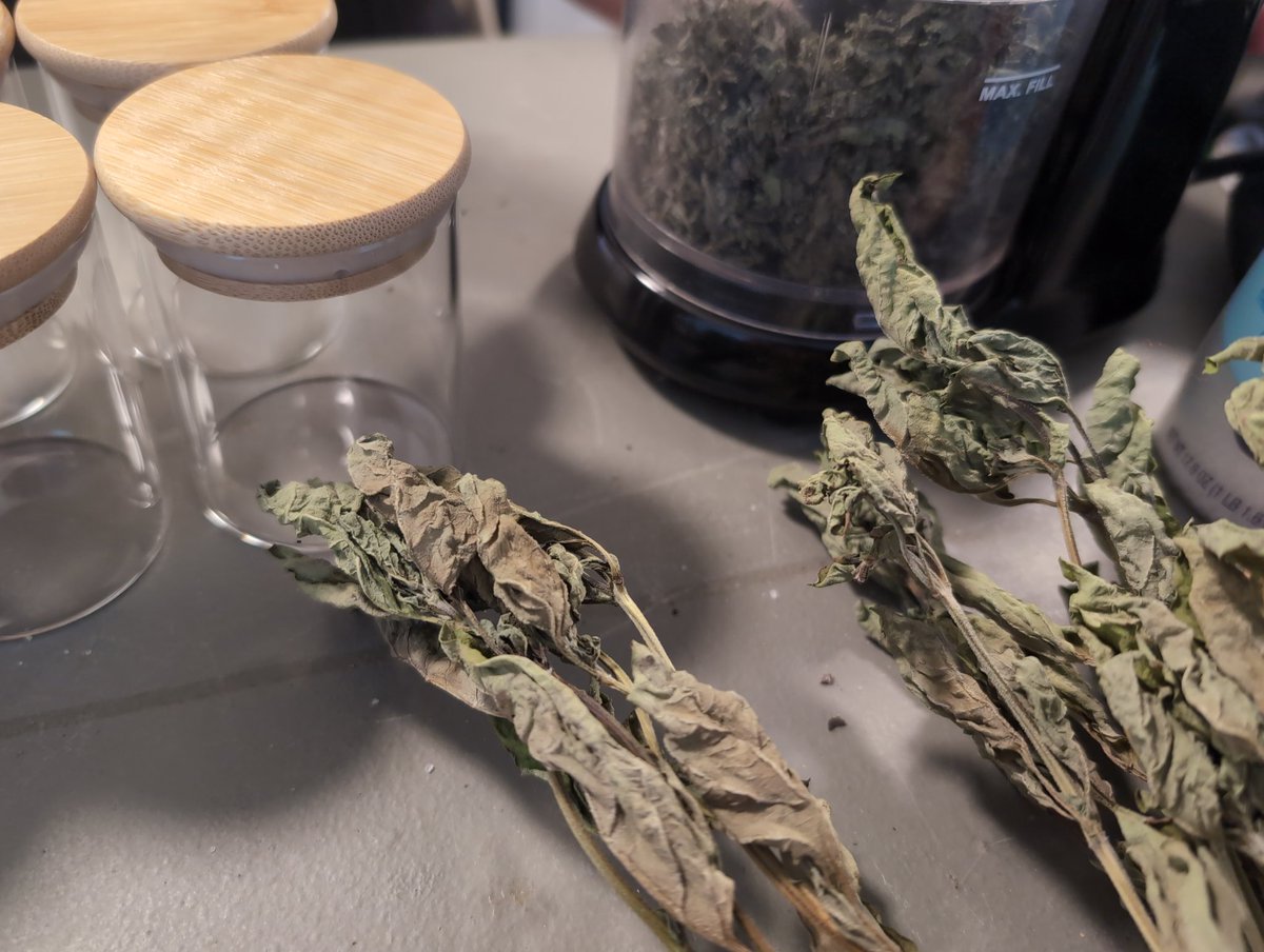 It smells like dried herbs and good coffee in this house.