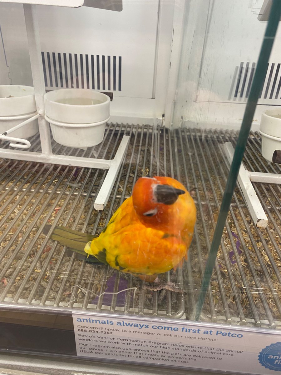 James F. Thomas (of IDLEWILD) tweet media