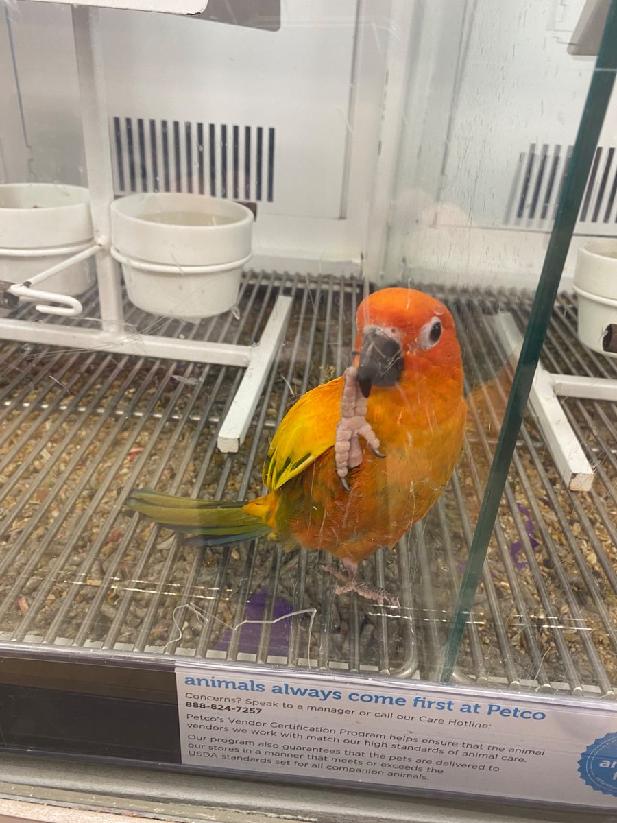 James F. Thomas (of IDLEWILD) tweet media