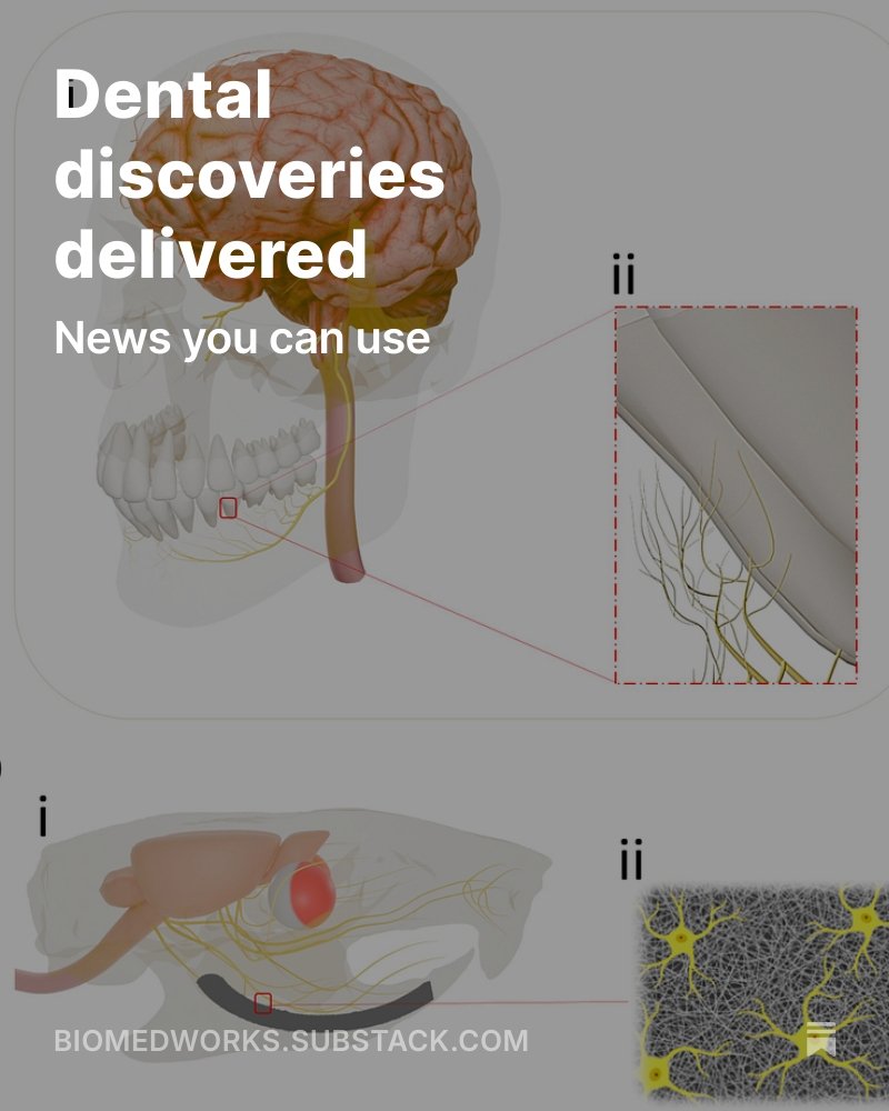 L_Kragie_MD's tweet image. Latest freebie BioMedWorks newsletter: protecting teeth with hair and nerves
Enjoy. Share. Signup.

#intradentalnerve #trigeminal #keratin #implant #jawreflex #remineralization

biomedworks.substack.com/p/dental-disco…
