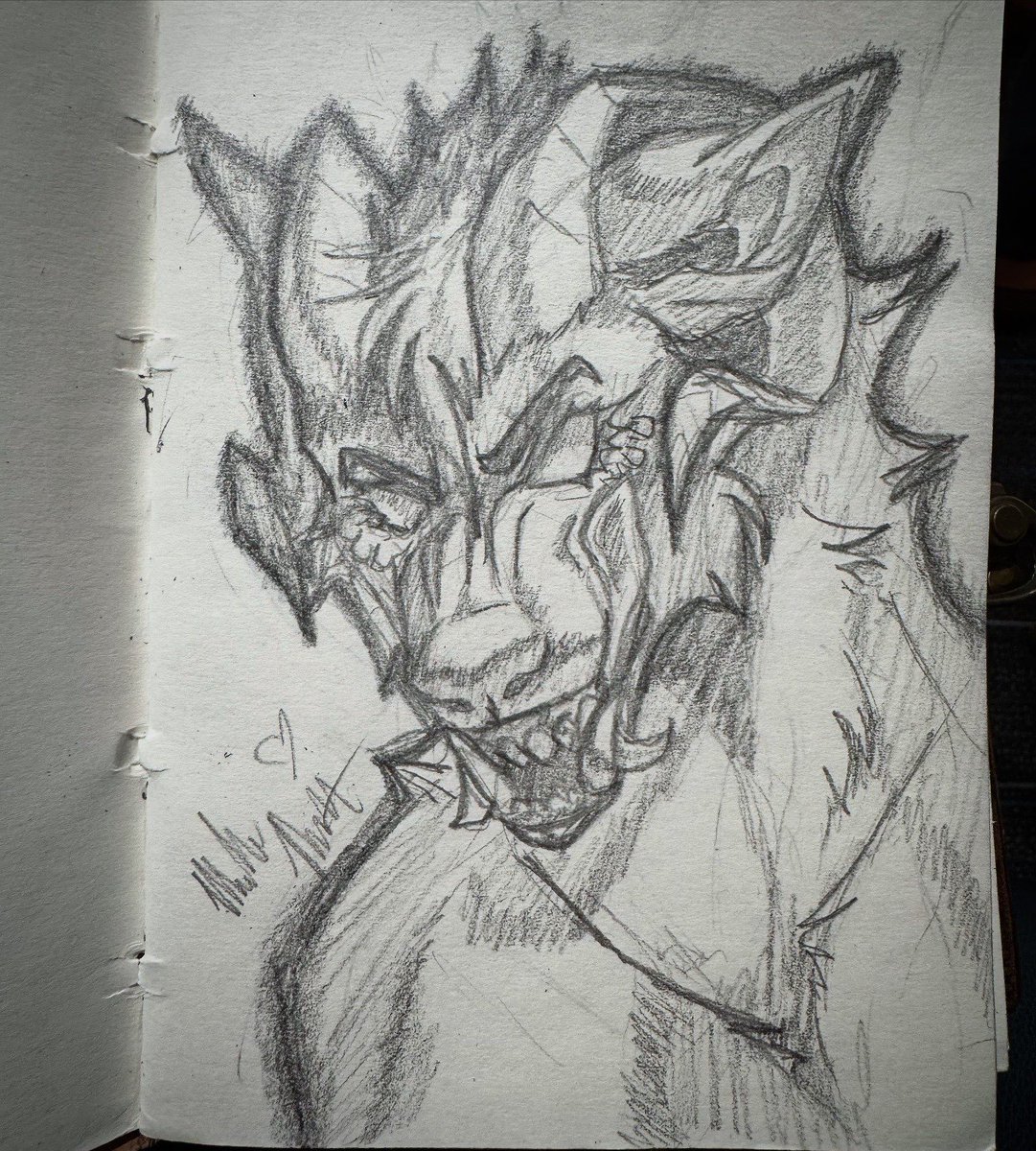 Went on a trip recently and doodled these on a couple of my flights! ✨ 

#sketch #characterart