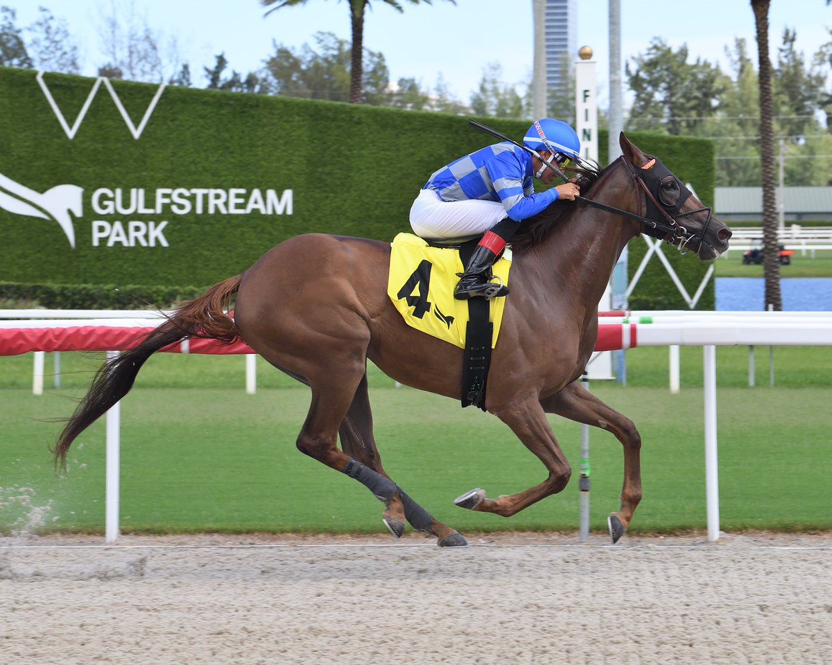 McMullen leads all the way in the second race, apprentice Luis Fuenmayor in the irons for trainer <a href="/hlynnsm/">Heather Smullen</a>. #GulfstreamPark #SunshineMeet