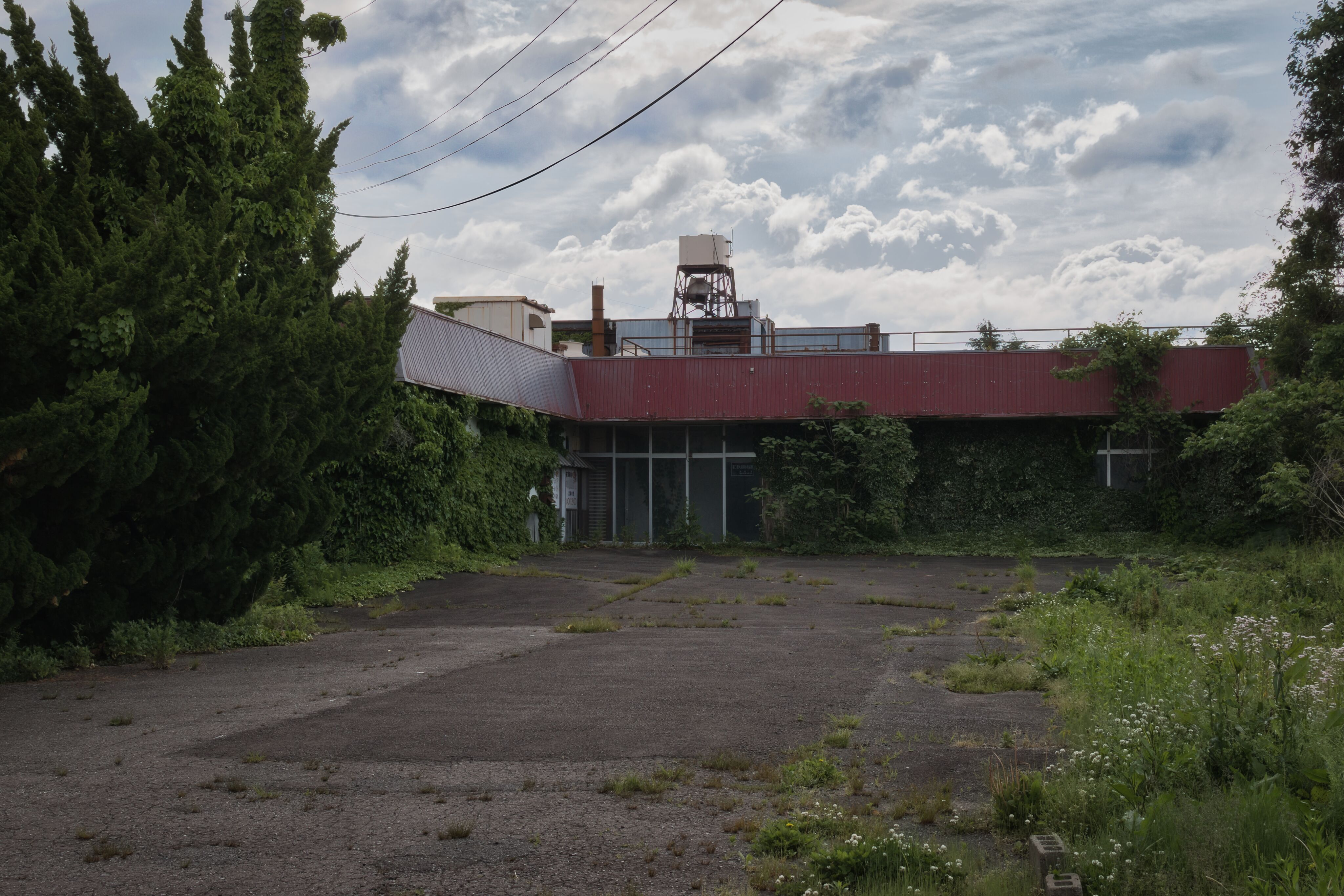 かわうそ (@wug0029) / X