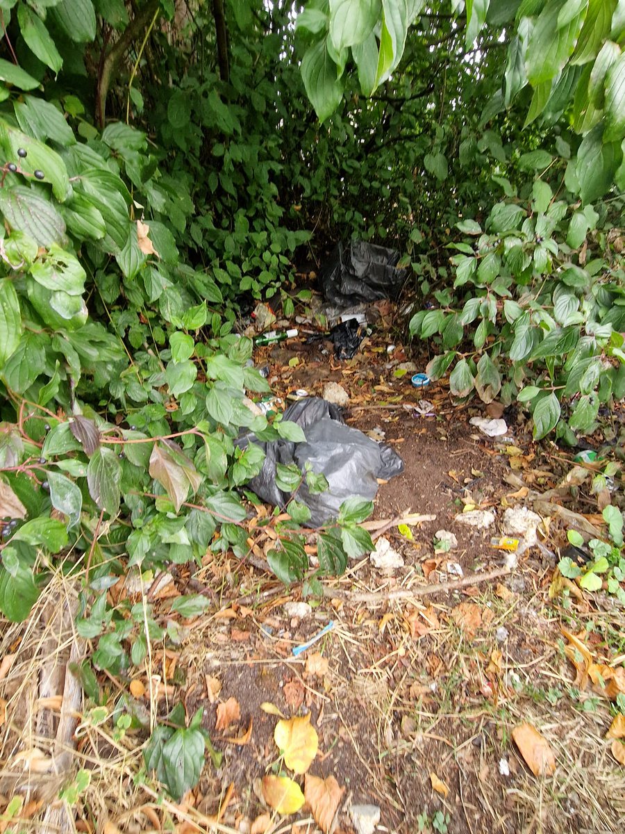 Alexandra Road litter pick today. Collected 15 bags of litter (6 recyclable). Thanks to Kim,  Pete, Phillip, Carole Cllr Angus Ellis and Harry for their efforts today.