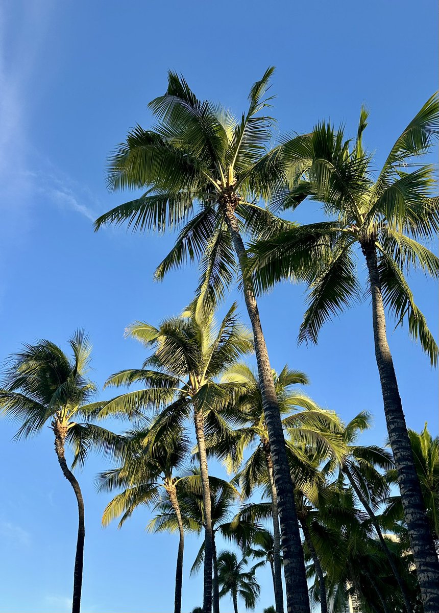 Joe Salave'a tweet media