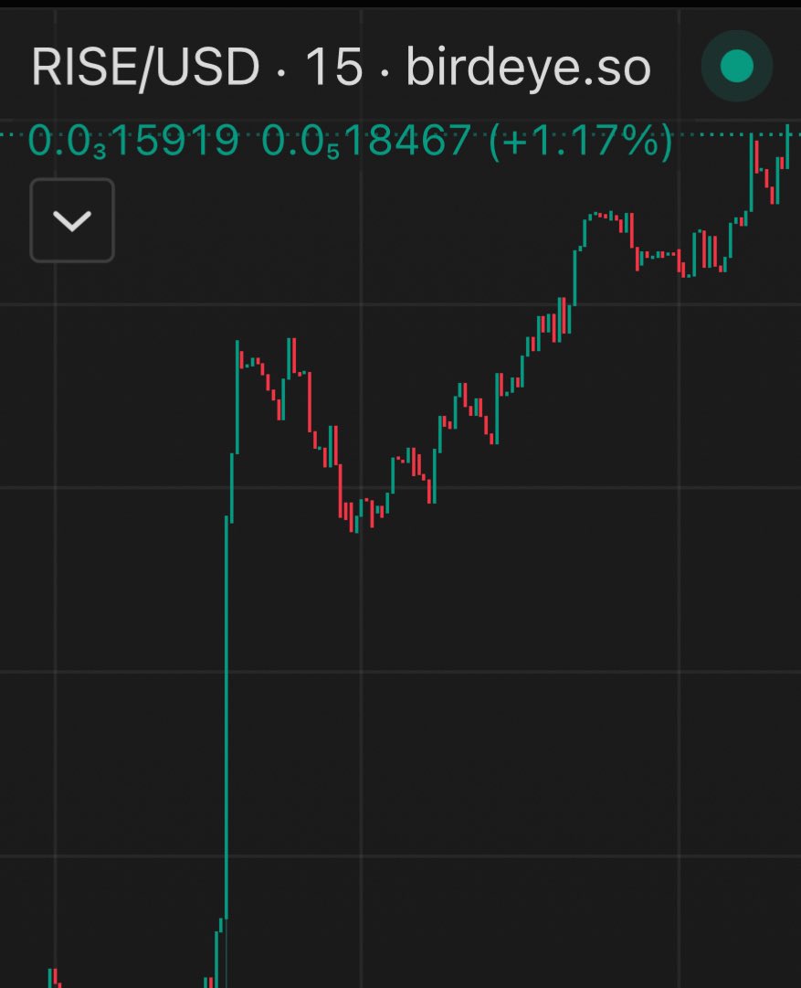 Reality is we’re doing everything we keep telling people we’re gonna do.

Not many teams can say that. 

Continue fading we’ll continue to $RISE