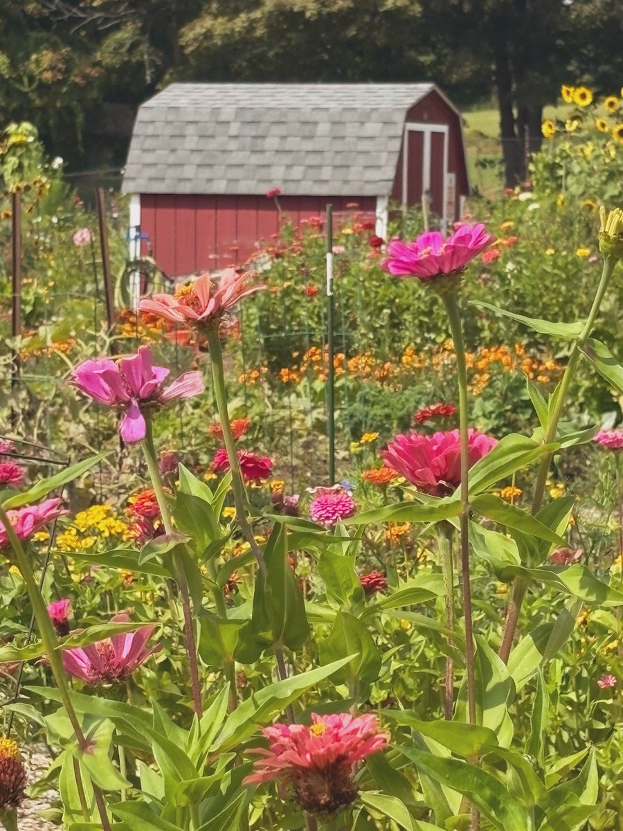 Have a wonderful Sunday I am heading outside for a trail…