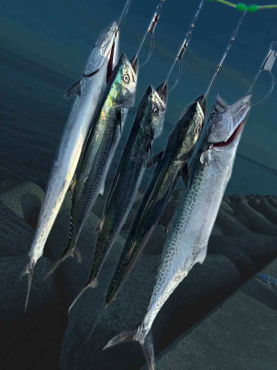 fishing_renta's tweet photo. Rスピン強し🐟
サイズは50cm前後ぐらいかなー👍 https://t.co/pP3bID62jk