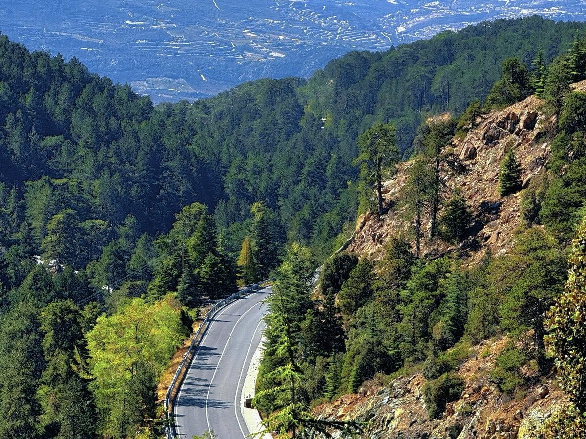 Anastasiia Kirilenko tweet media