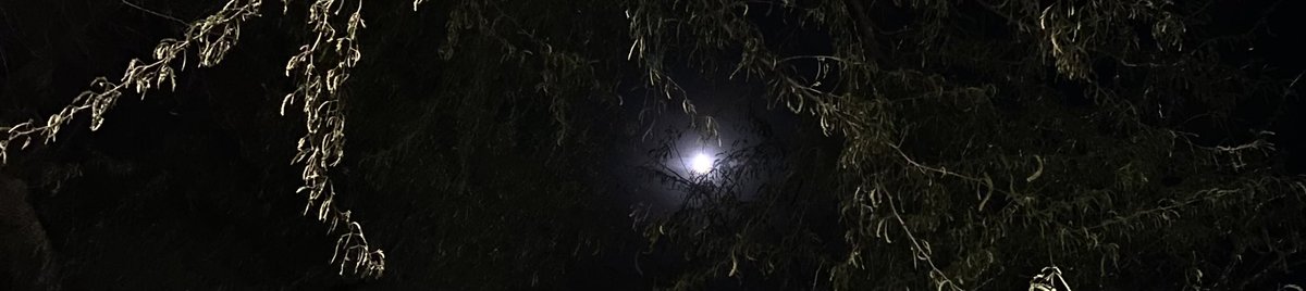 l_z67's tweet photo. « تعلمت السهر بعدك وانا قبلك رفيق النوم
ولا جاب السهر طيفك ولا عوّد علي نومي ». 

— ضيدان بن قضعان. https://t.co/WuuPG2JBqO
