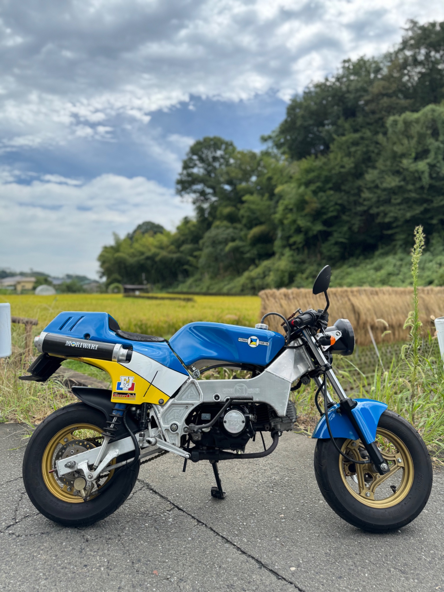 G◯N (@gongongon823F) / X