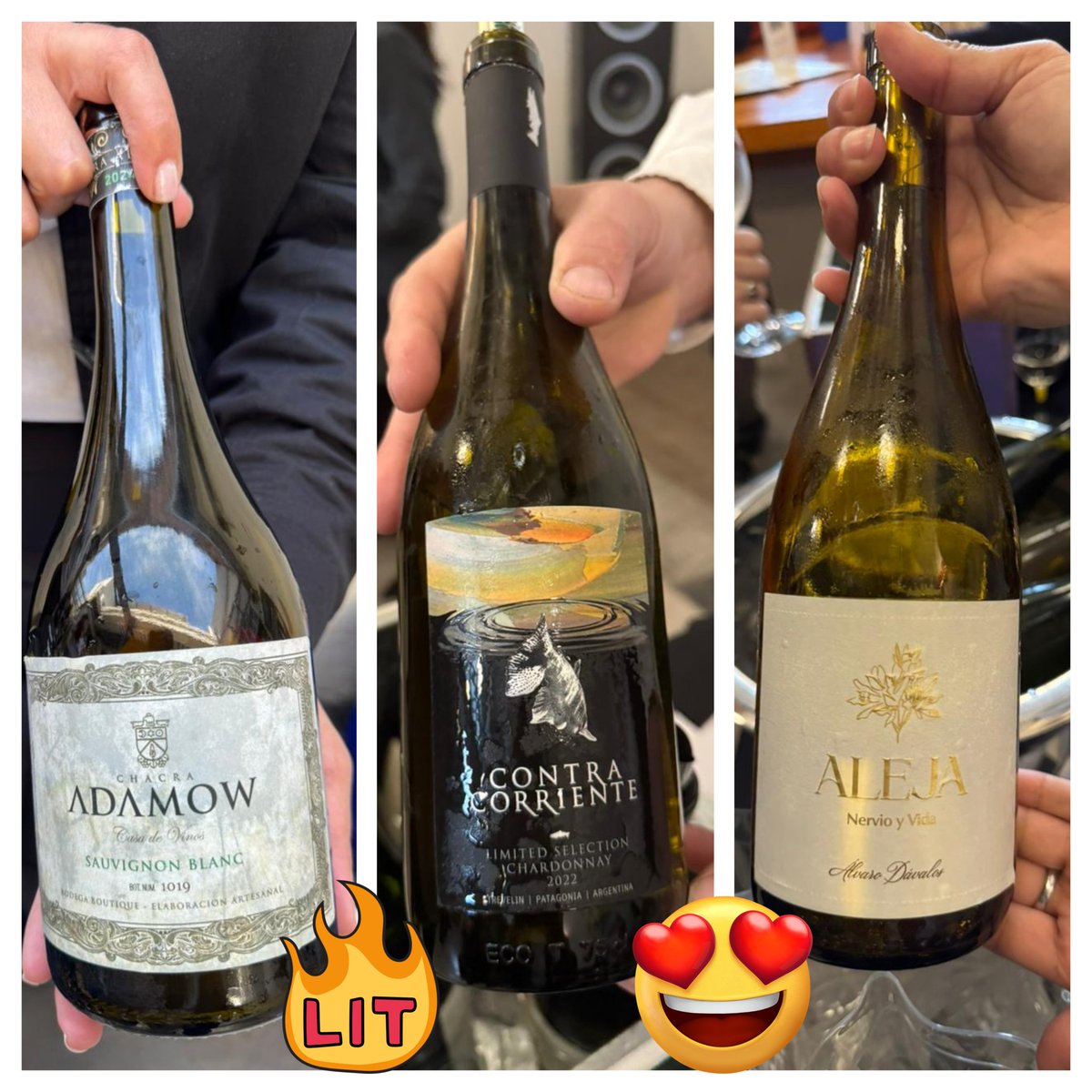 poyocoscia's tweet photo. Hoy Musu hizo la feria de vinos blancos MAS importante del pais.
Majestuosos vinos se producen en Argentina, para todos los gustos, de todas las latitudes y para todos bolsillos
#VinoBlancoTodoElAño
#ElVinoNosUne
#LaCuevaDeMusu
Gracias Fer🍷

Pd:No probe los 80, pero 50 seguro 🫢 https://t.co/WeXgvdZkUD