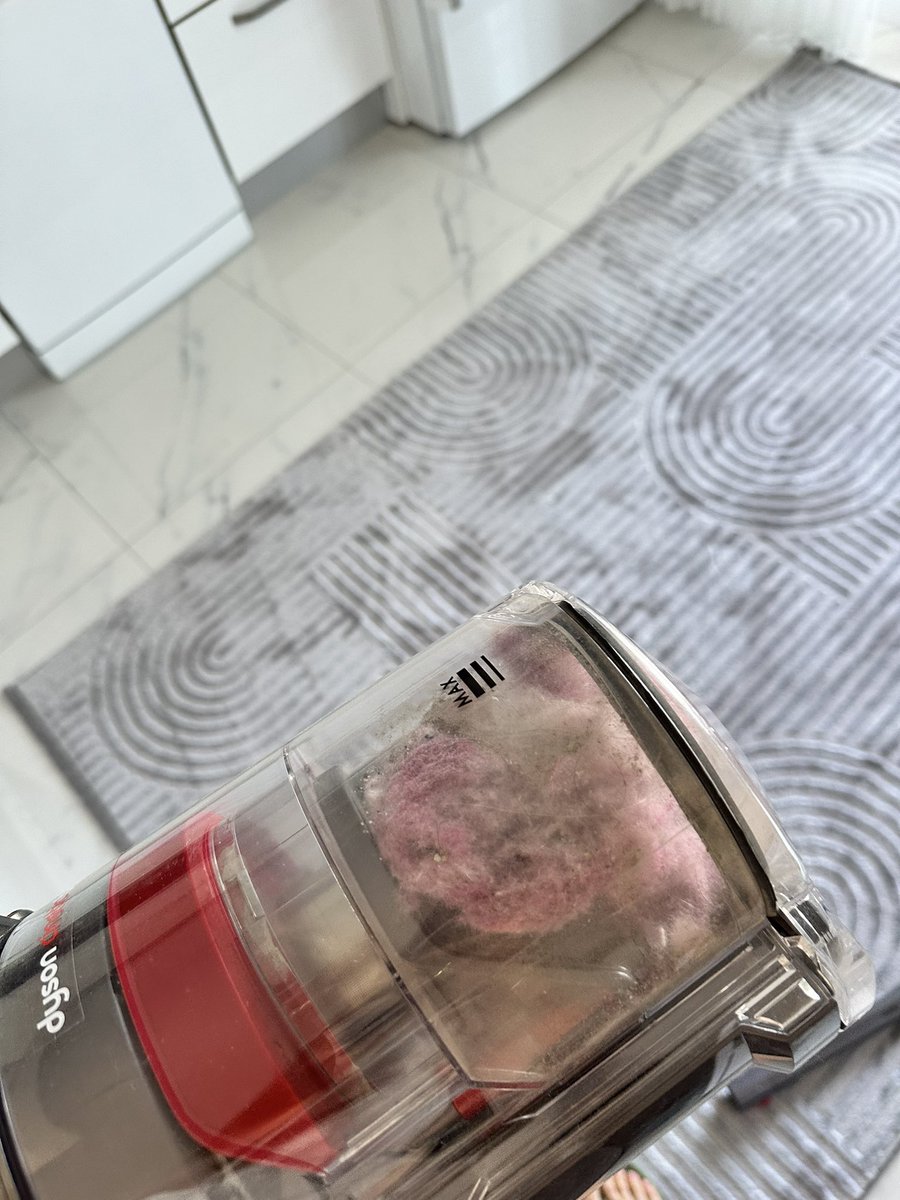 pineapplexde's tweet image. Gerçek prenseslerin evinin tozu bile pembedir gördüğünüz gibi;