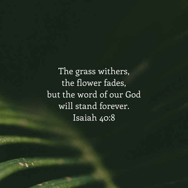 #verseoftheday