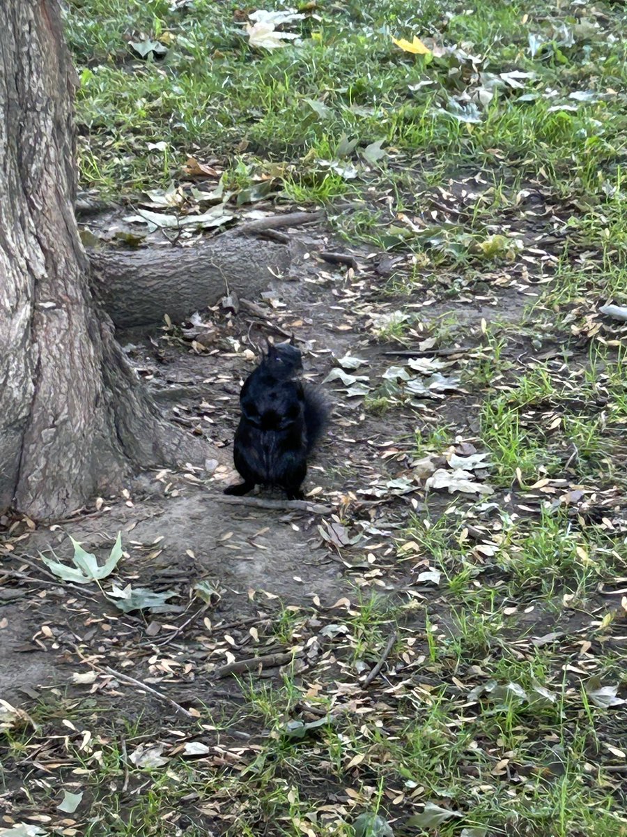 If you know you know…