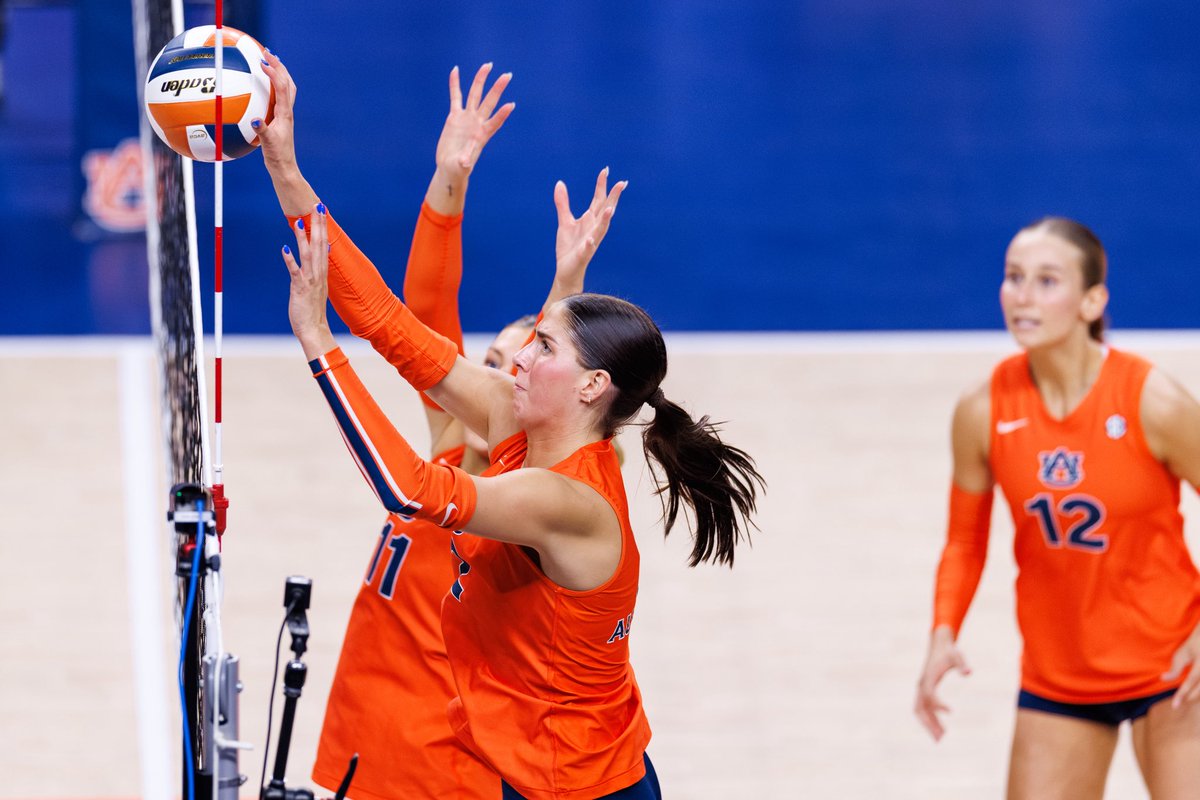 David Gray tweet media