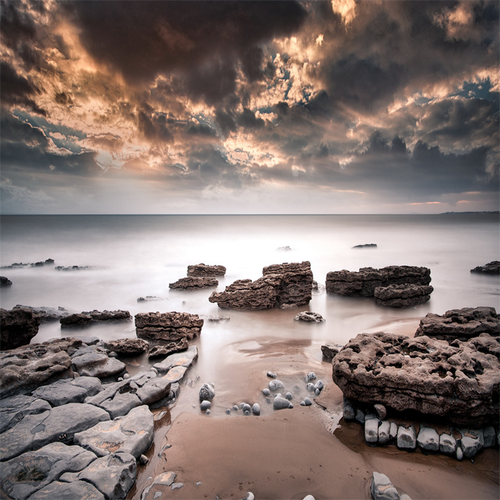 🍫🧴🎌↕
Leaves cover the ground in autumn.