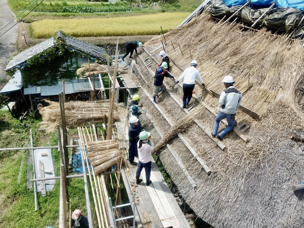 kayabukiya's tweet photo. #古民家族 
武庫川女子大学生有志を中心とした茅葺き古民家再生WS。20年来の活動を引き継ぐ学生たちと、彼らの想いを支え続ける職人たち。
世代を超える営みから紡がれる民家の時間からすれば、それはほんの短いひととき。長く繋がれて来た古民家、歴史の消費とならぬよう、長く繋げて行かなければ。 https://t.co/yCREm8YckQ