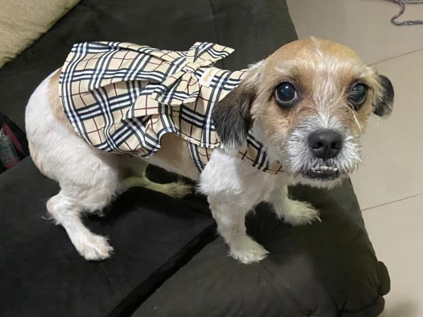 B000000f's tweet image. 