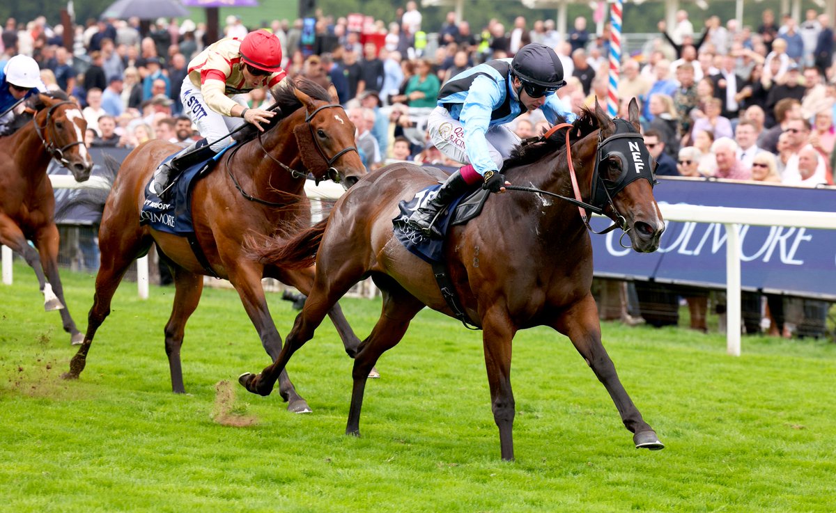 Weatherbys Limited (@weatherbysltd) on Twitter photo Highlight enhancements and updates to your consignment using our βStable Door Pedigreesβ.
Theyβre researched, edited and produced by our expert Bloodstock team - for more information please contact Michelle ππ» mfogarty@weatherbys.ie .
As an example hereβs Lot 481 selling Highlight enhancements and updates to your consignment using our βStable Door Pedigreesβ.
Theyβre researched, edited and produced by our expert Bloodstock team - for more information please contact Michelle ππ» mfogarty@weatherbys.ie .
As an example hereβs Lot 481 selling