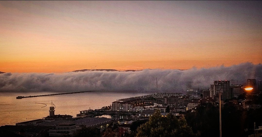 Charles Harrison tweet media