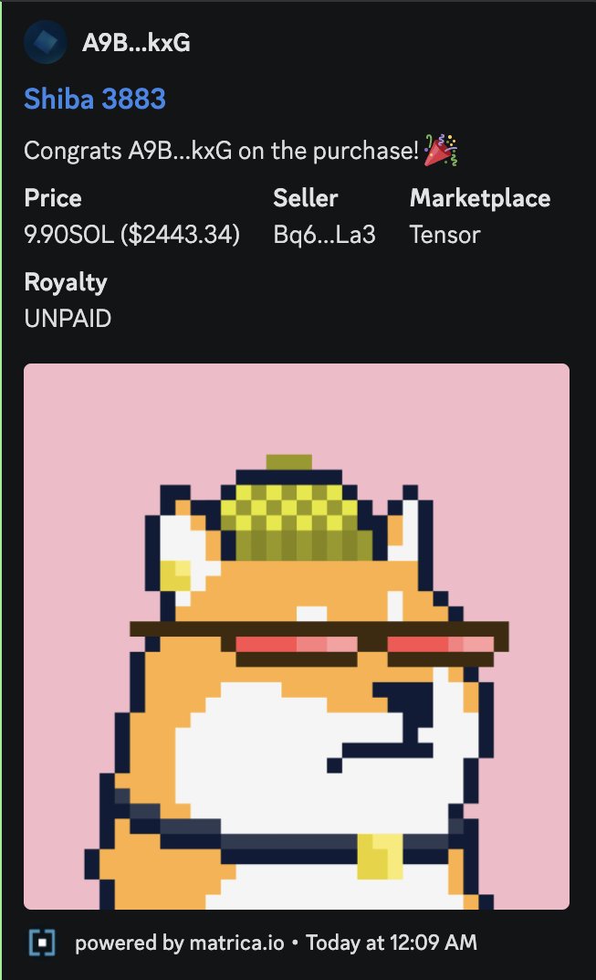 Such Shibas tweet media