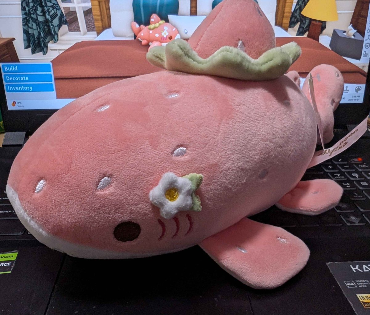 🌸 Kayotic 🌸 tweet media