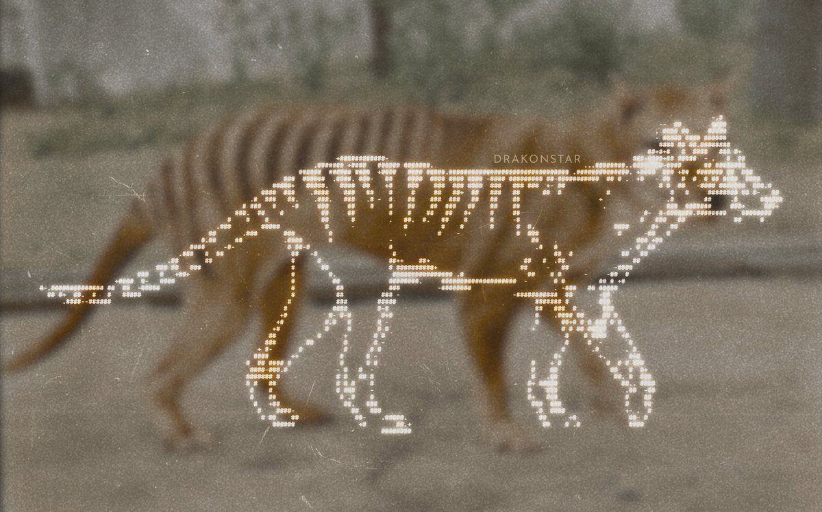 only a memory

#arttwt #graphicdesign #webcore